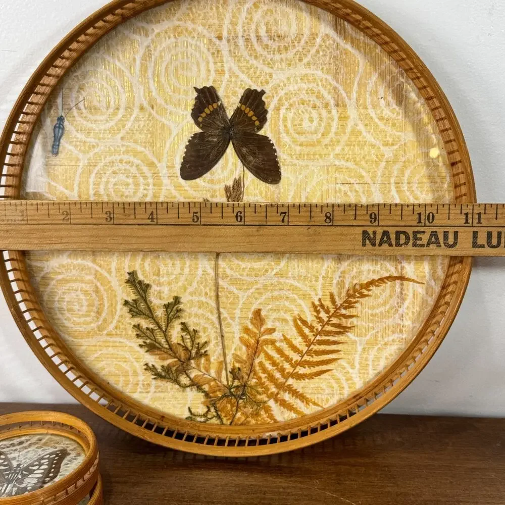 Vintage Bamboo Butterfly Serving Tray w/ 3 Matching Coasters Pressed Ferns Real